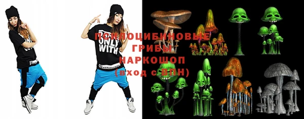 бошки Аркадак