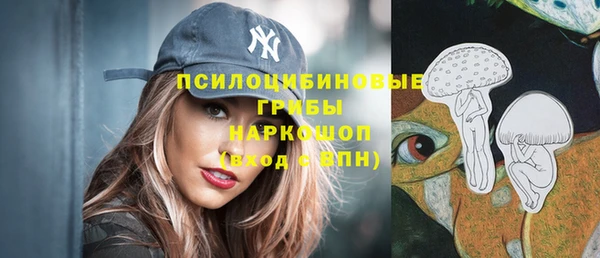бошки Аркадак