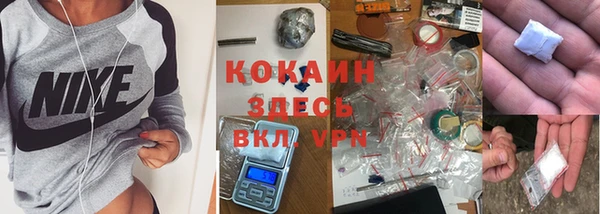 бошки Аркадак