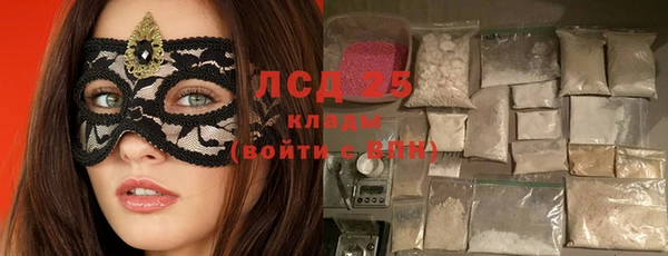 бошки Аркадак