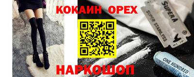 амф Гатчина