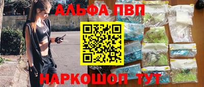 амф Гатчина