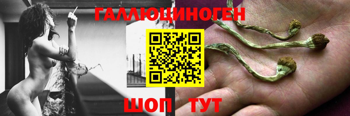 Кубинка  Псилоцибиновые грибы мухоморы  Вход с VPN 
